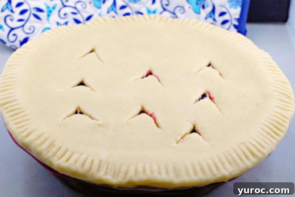 Pie crust with vents cut into the top