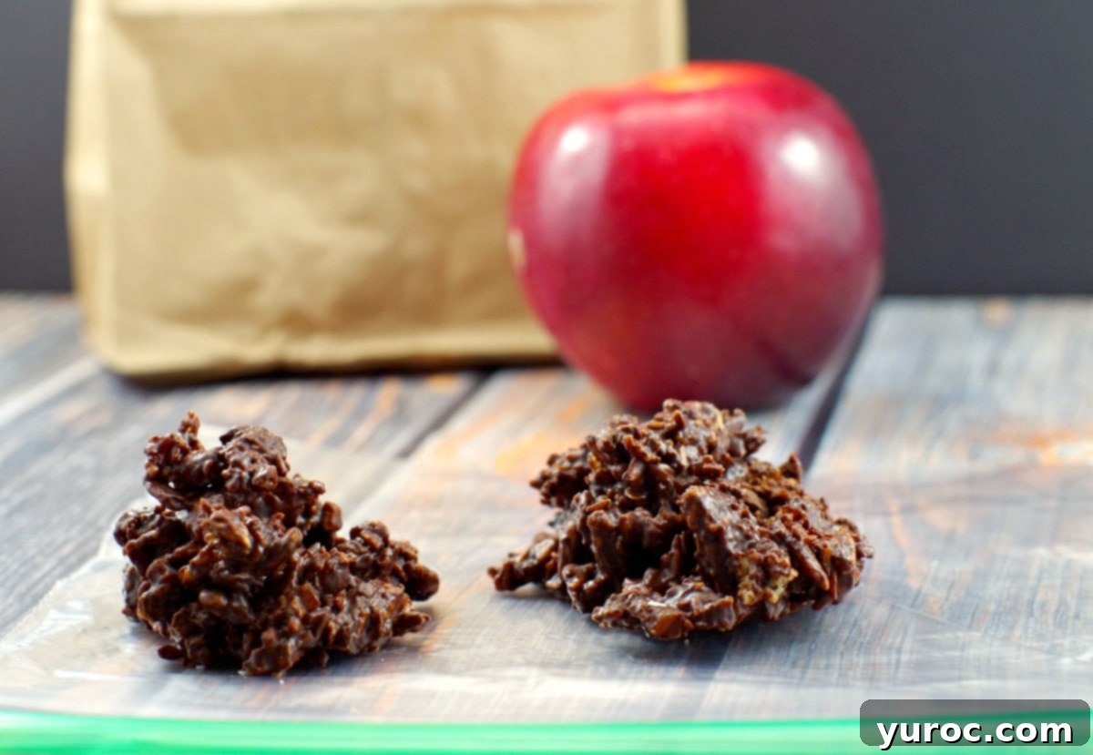 2 chocolate clusters on a ziploc bag with an apple and brown paper lunch bag in the background, highlighting portability.