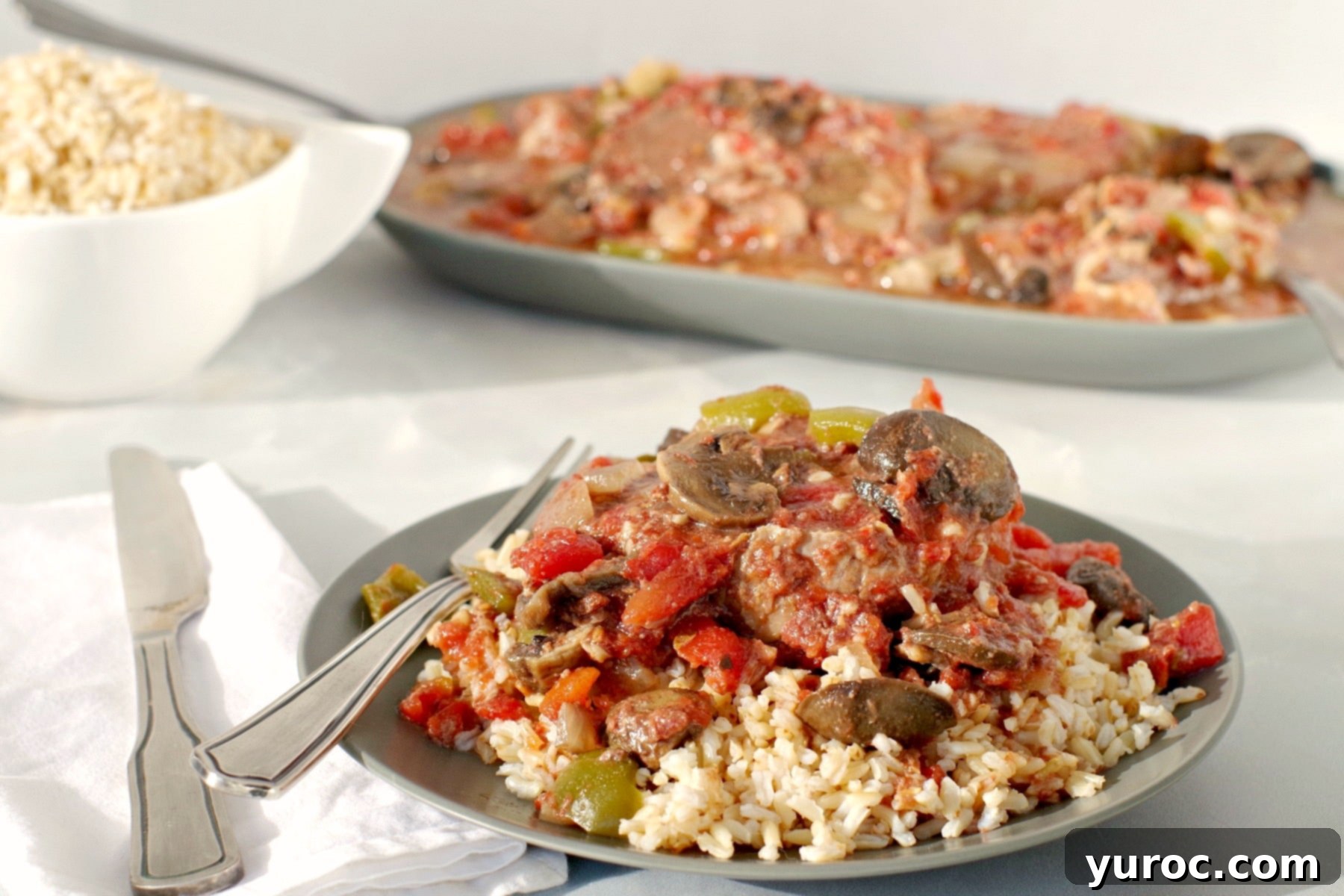 Slow Cooker Smothered Swiss Steak 2 Slow Cooker Swiss Steak on Rice (on green plate)