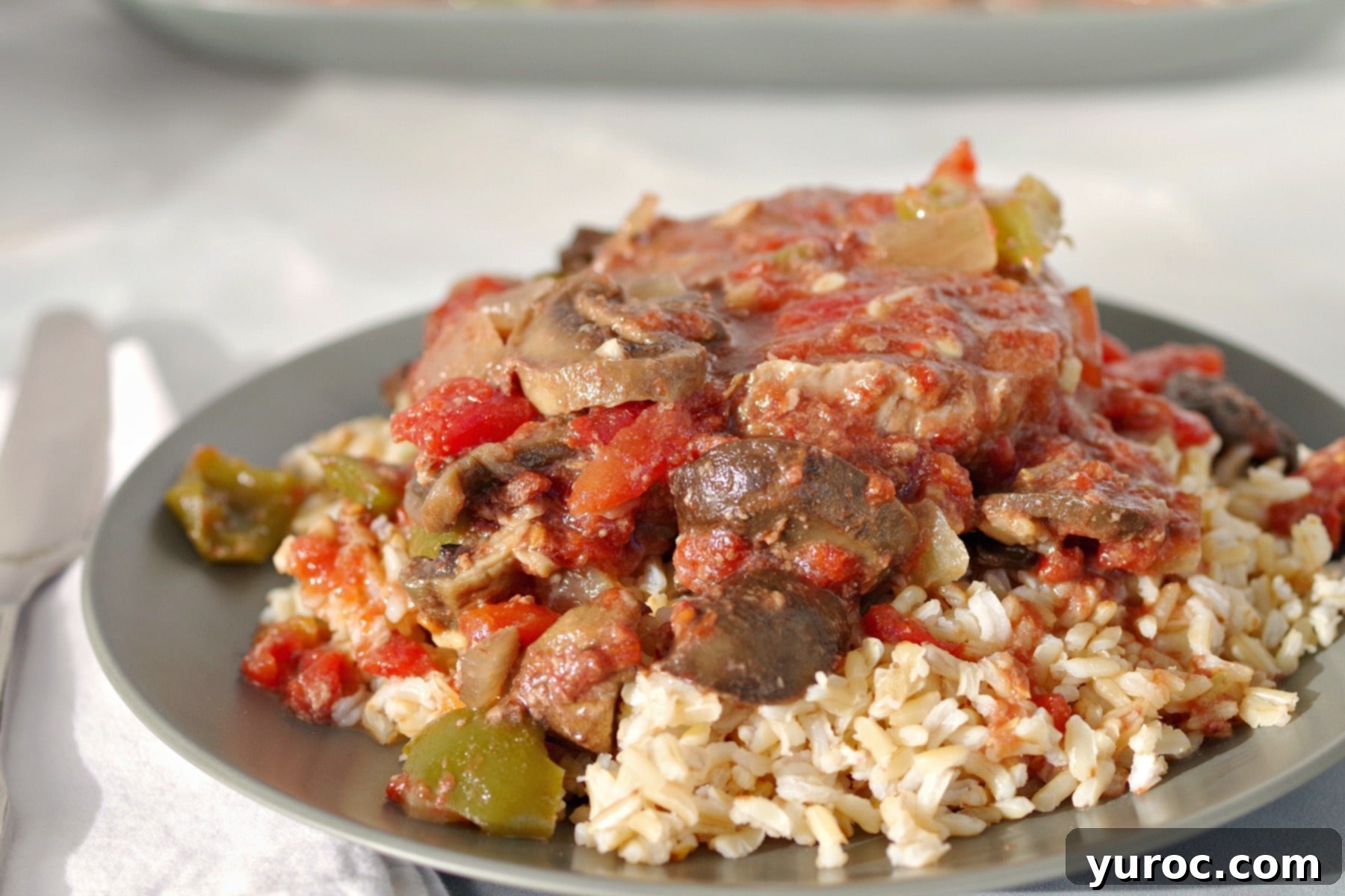 Slow Cooker Smothered Swiss Steak 4 Slow Cooker Swiss Steak on Rice (on green plate)