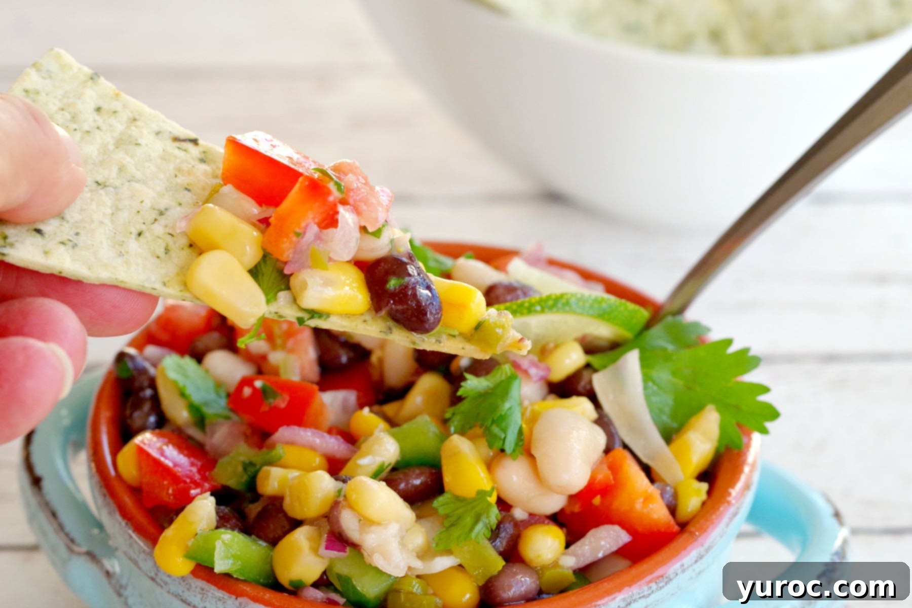 Cowboy Caviar Dip in a bowl with a chip being dipped in