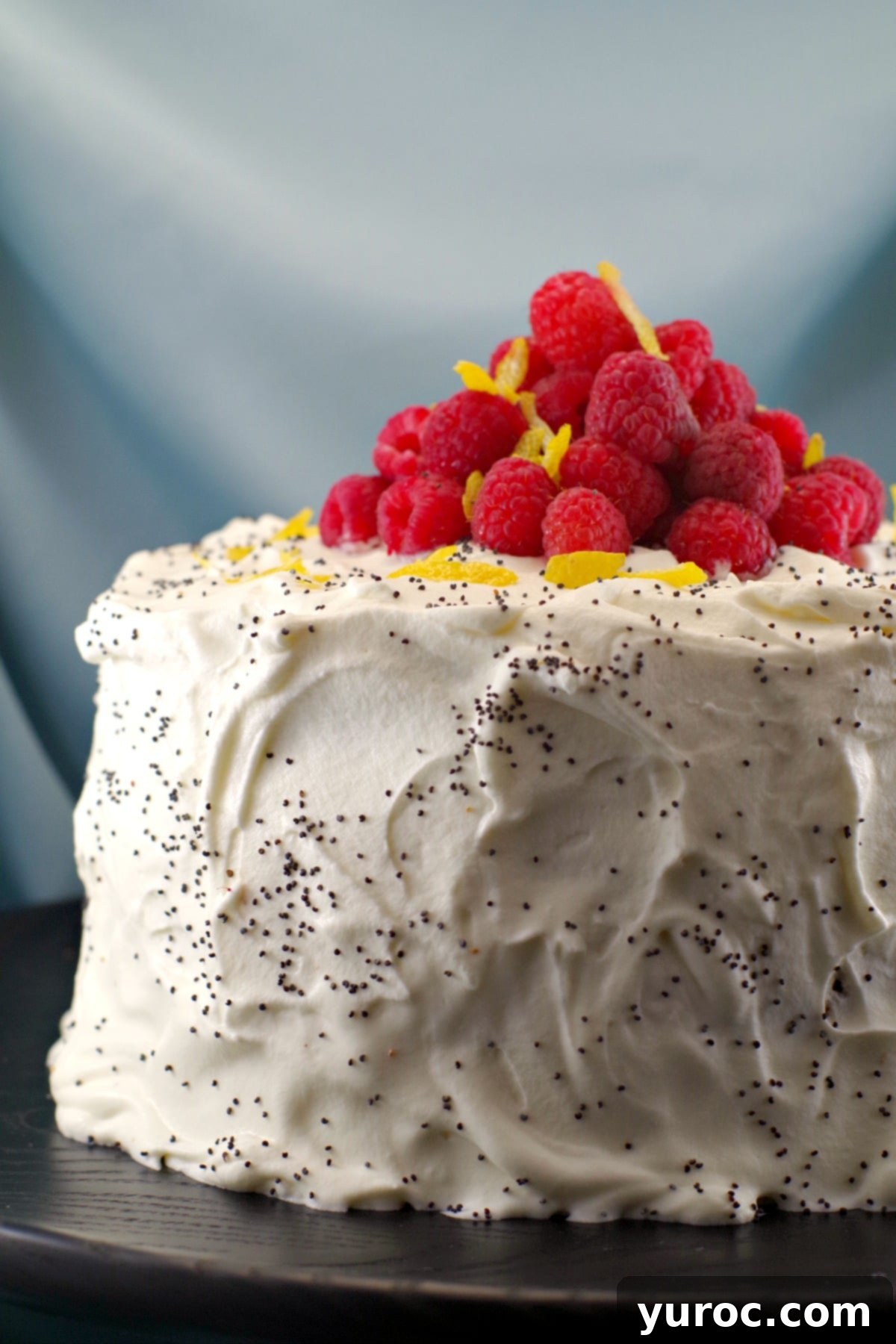 Lemon Poppy Seed Torte with Raspberry Curd and White Chocolate Whipped Cream 4 Stunning close-up of a Lemon Poppy Seed Torte adorned with fresh raspberries and lemon peel, highlighting the creamy white chocolate frosting.