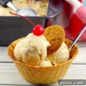 No Churn Potato Cookies and Cream Delight 15 potato ice cream in a waffle cone bowl