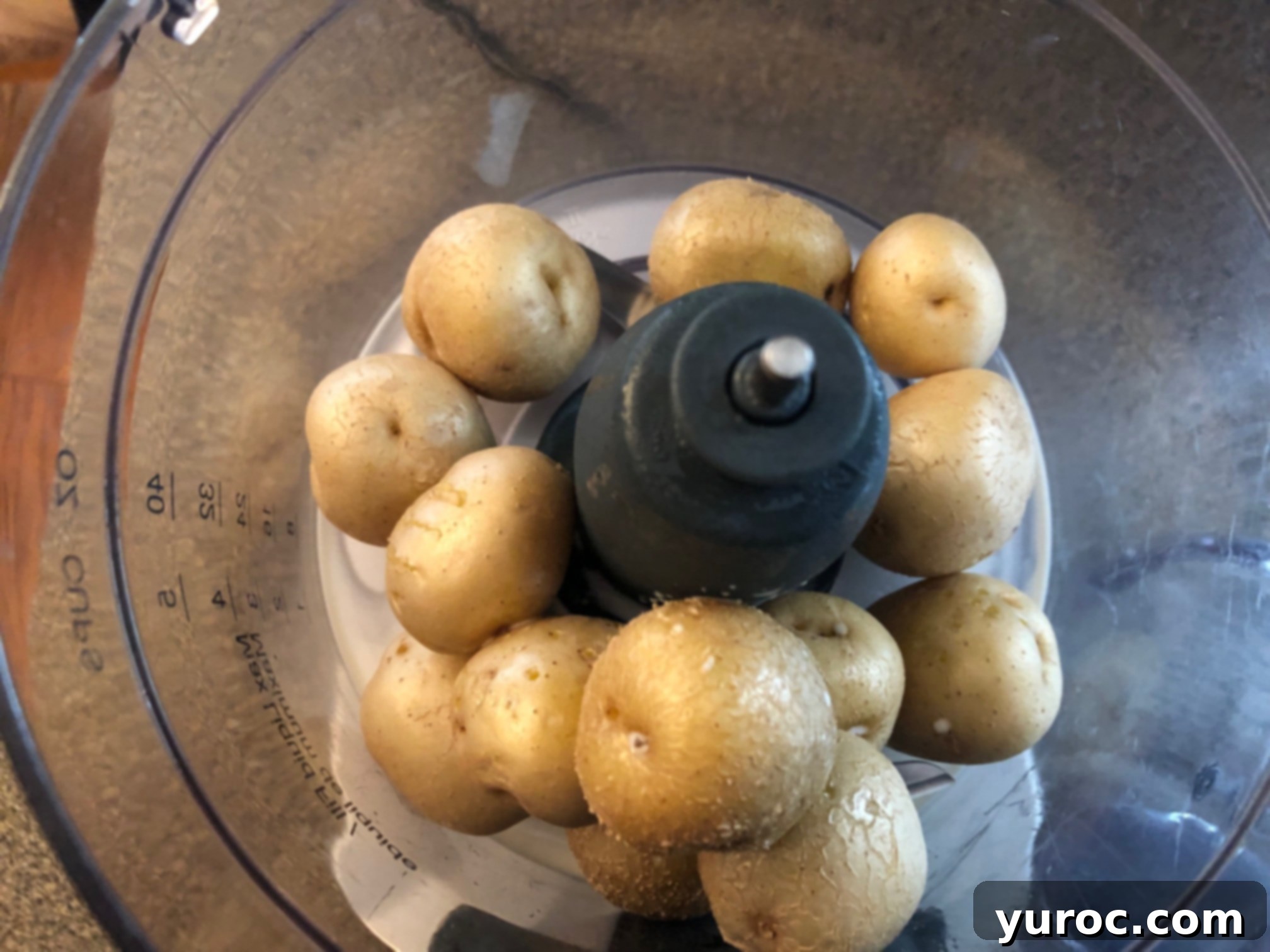 No Churn Potato Cookies and Cream Delight 5 potatoes in food processor
