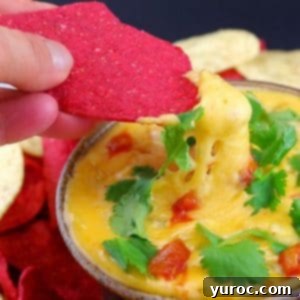 Red tortilla chip being dipped into creamy, authentic New Mexican Queso dip