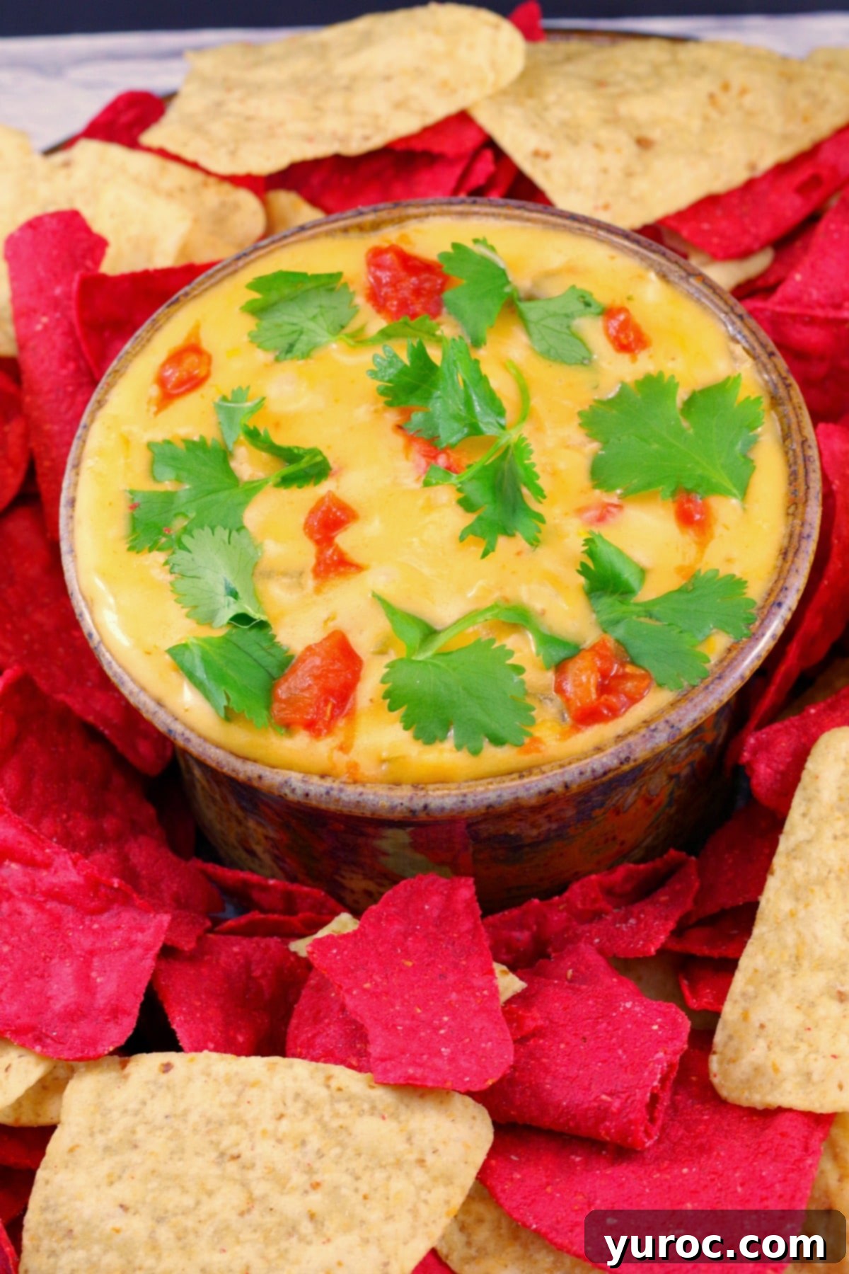 Close-up of creamy, cheesy Chile Con Queso dip with cilantro garnish, ready for dipping