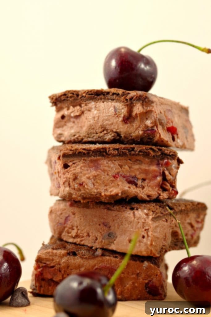 A stack of two Weight Watchers Black Forest Ice Cream Sandwiches, garnished with fresh cherries, highlighting the layers of chocolate graham cracker and creamy cherry-chocolate frozen yogurt.