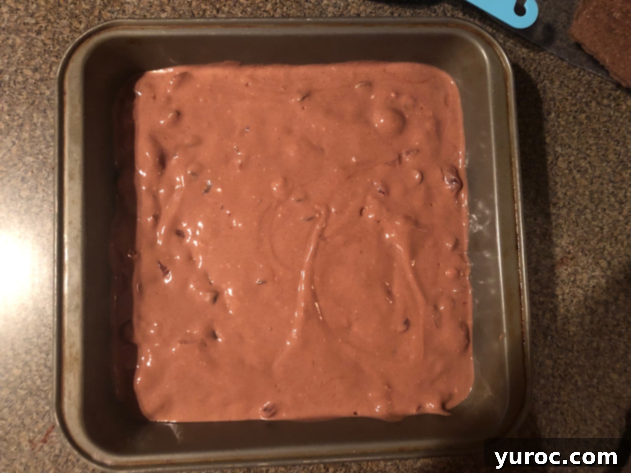 The chocolate yogurt mixture spread smoothly over the graham cracker base in the pan.