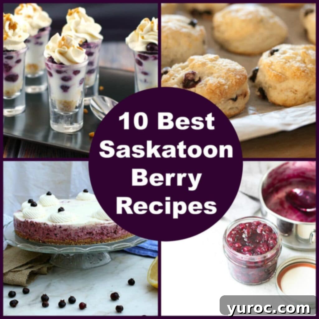 A vibrant collage featuring four mouth-watering Saskatoon Berry recipes, showcasing pies, crumbles, and other delightful desserts.