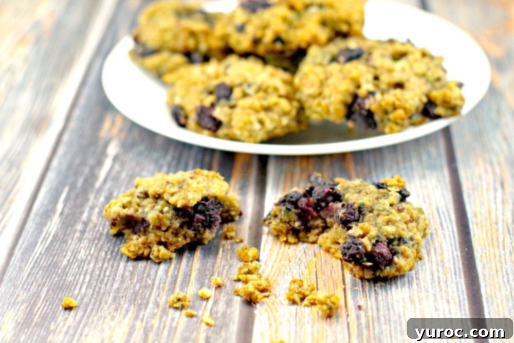 A delicious batch of Saskatoon Berry Cookies from foodmeanderings.com, showcasing their inviting texture.