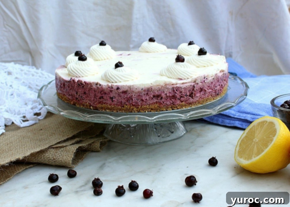 A luscious No Bake Saskatoon Berry Cheesecake beautifully presented on a platter, adorned with fresh berries.