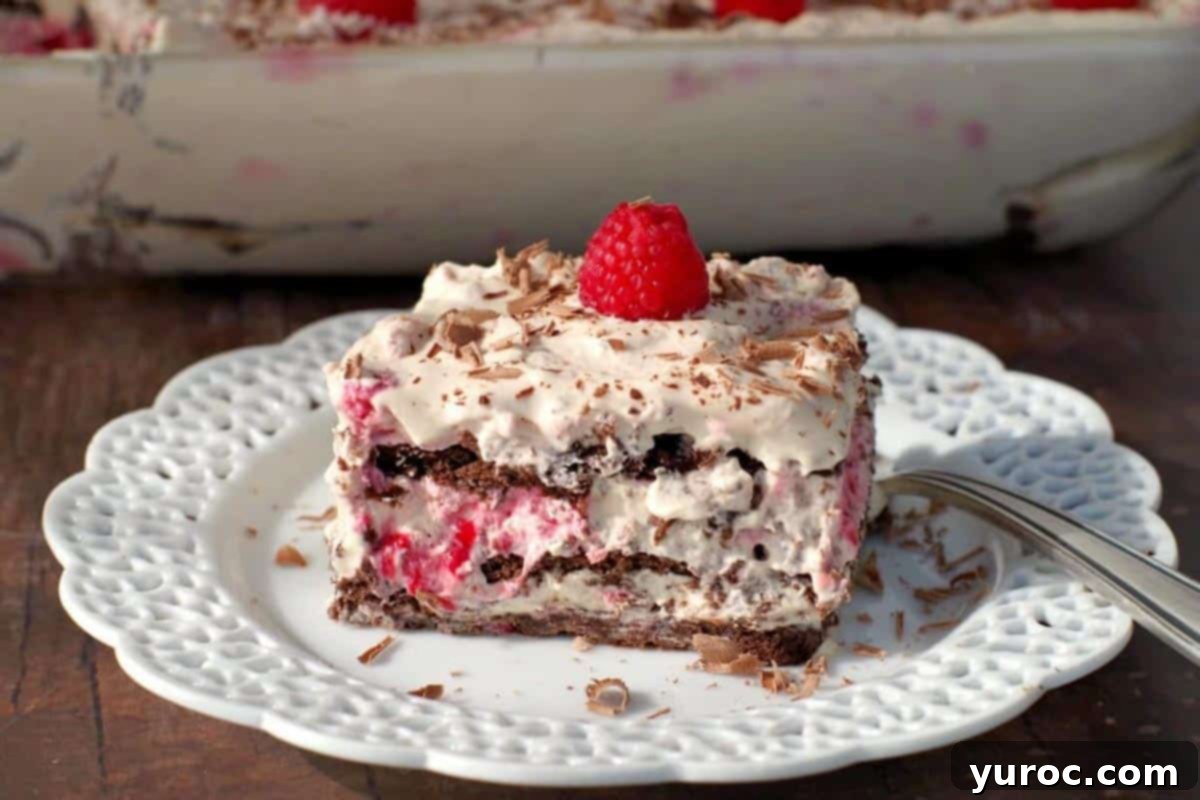 Decadent Dulce De Leche Chocolate Raspberry Icebox Cake 2 Chocolate Raspberry Icebox cake on a white plate with a pan of more in the background.