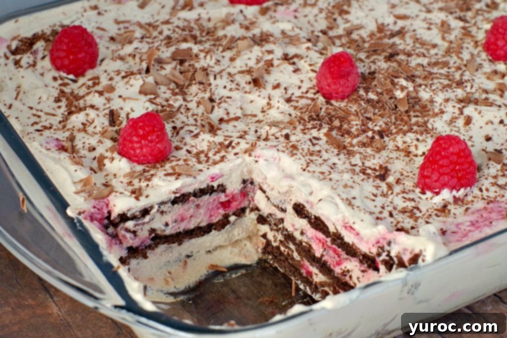 Decadent Dulce De Leche Chocolate Raspberry Icebox Cake 15 Raspberry Icebox cake with piece missing