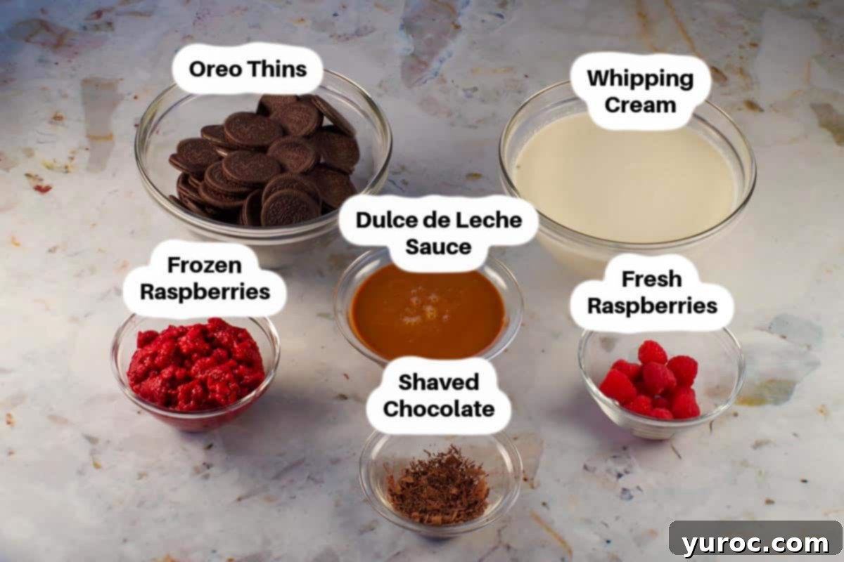 Decadent Dulce De Leche Chocolate Raspberry Icebox Cake 3 Ingredients in Dulce de Leche Icebox cake in glass bowls, labelled.