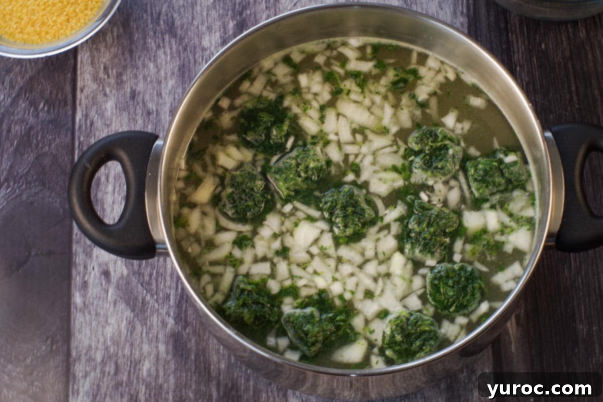 soup broth with onion, spinach and garlic in a pot