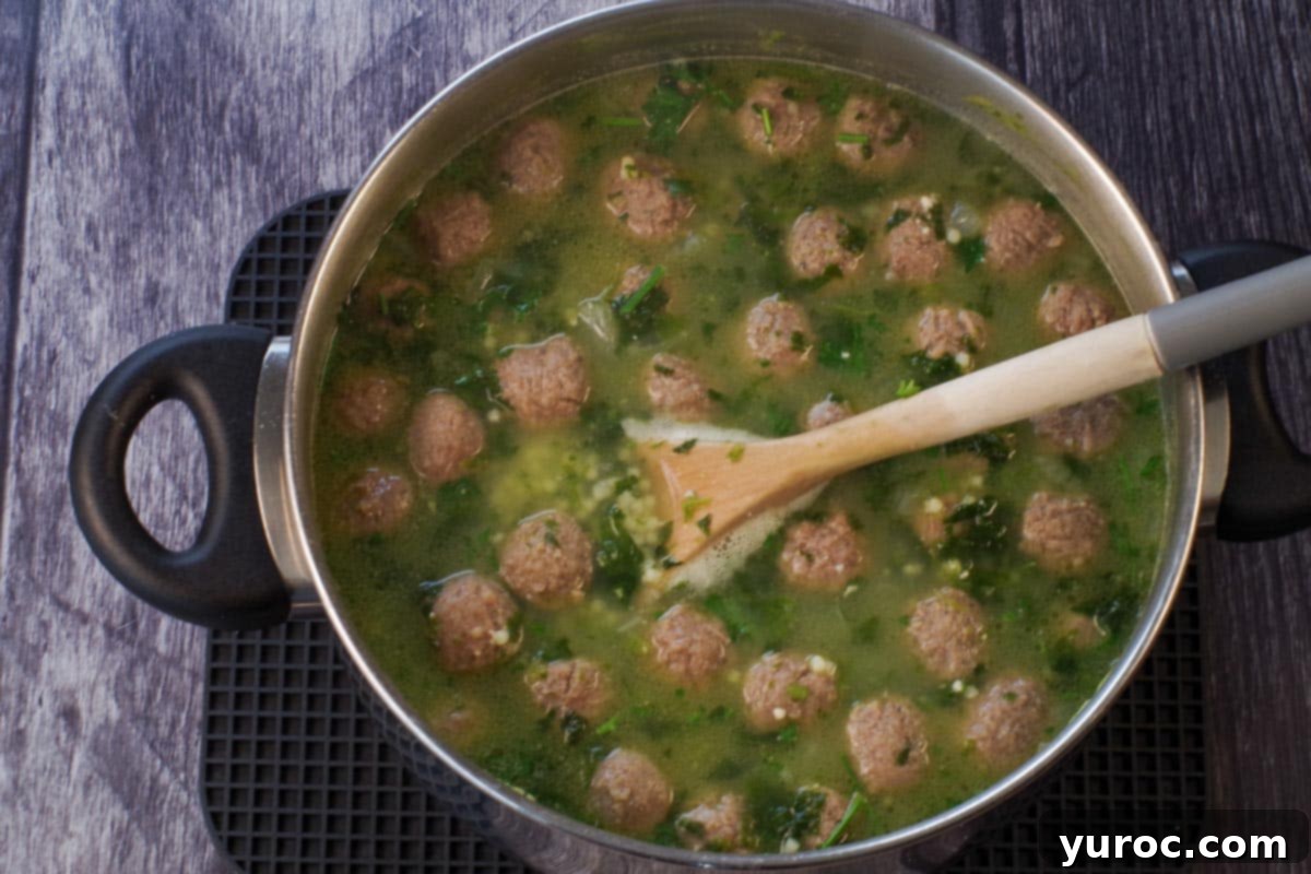 cooked soup in soup pot with wooden spoon
