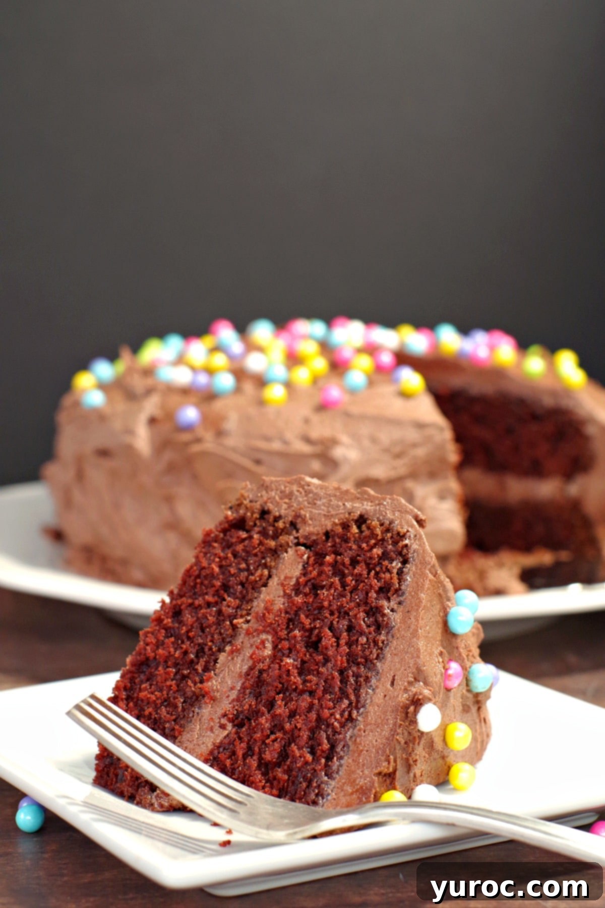 Another perspective of the Chocolate Mayonnaise Cake, with a perfect slice ready to be enjoyed.