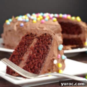 slice of mayonnaise birthday cake on white plate with cake in the background