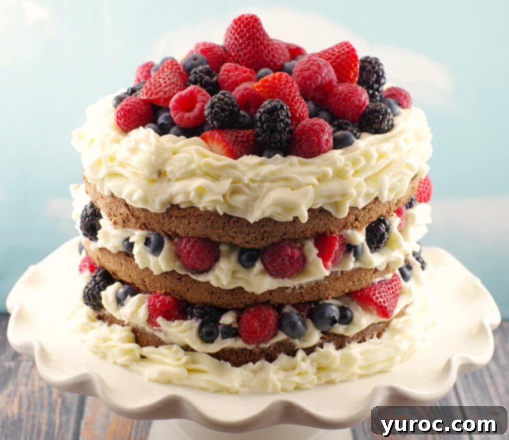 Italian Chocolate Sponge cake with summer berries, whipped cream icing and chocolate mousse