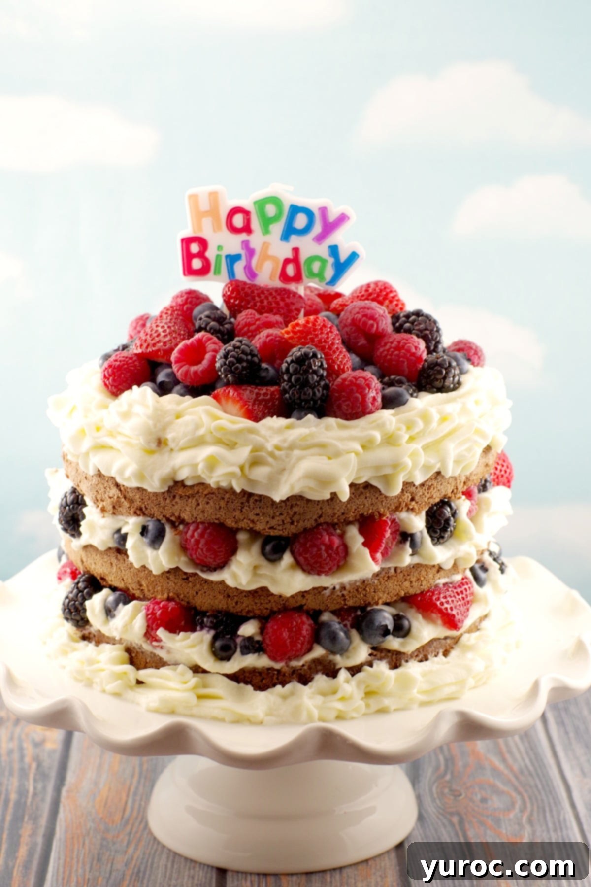 Chocolate Sponge Cake with whipped cream icing, chocolate mousse and summer berries