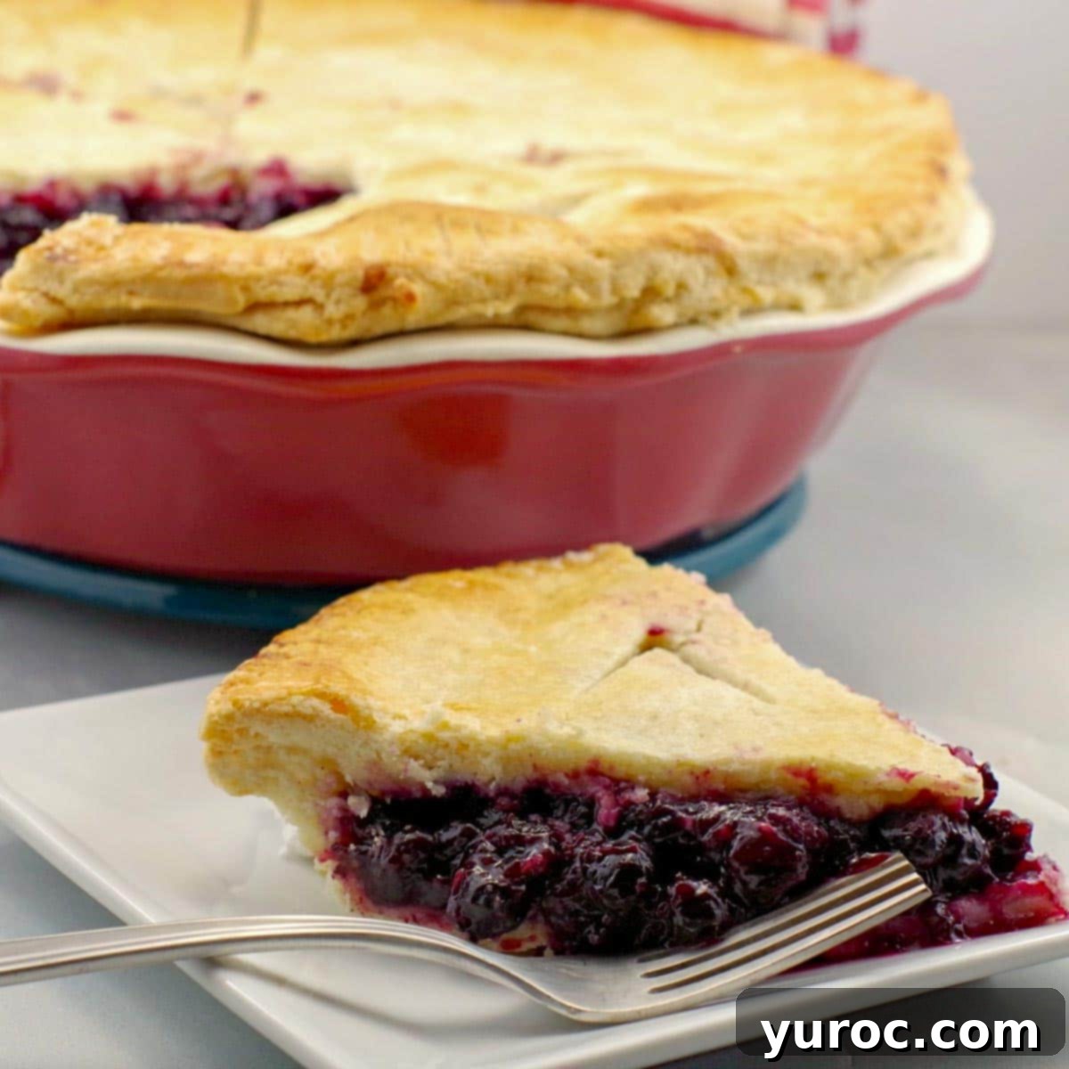 Saskatoon Berry Pie: Mastering the Filling and Sauce 1 Saskatoon berry pie slice on a white plate, with whole pie in background