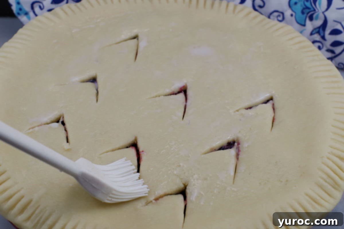 Saskatoon Berry Pie: Mastering the Filling and Sauce 12 Pie Brushed with milk, using pastry brush