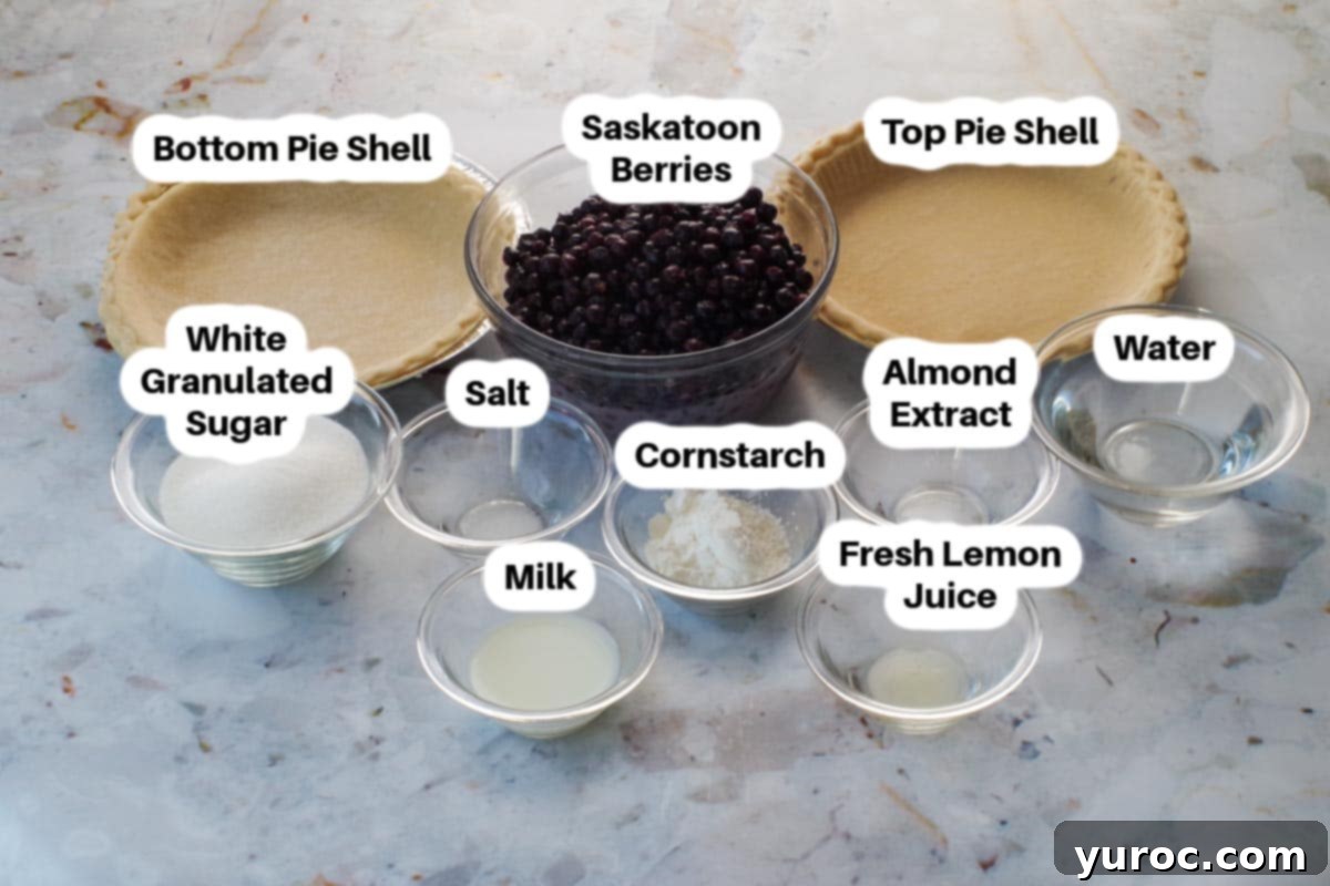 Saskatoon Berry Pie: Mastering the Filling and Sauce 2 Ingredients needed for Saskatoon berry pie filling and sauce, in glass bowls, labelled.
