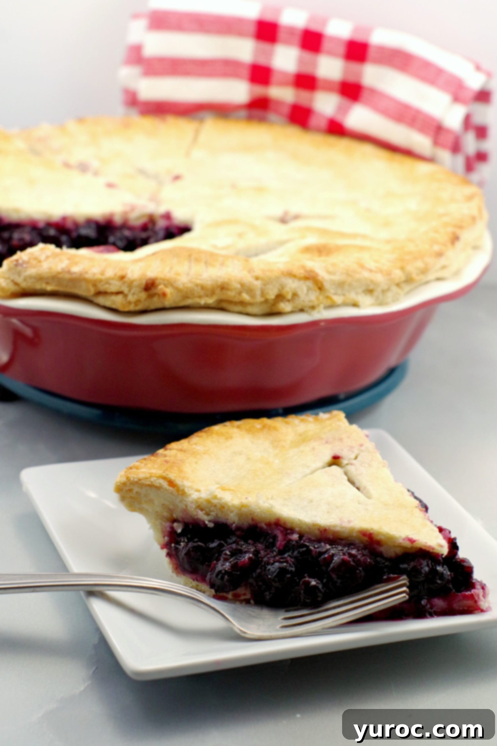 Saskatoon Berry Pie: Mastering the Filling and Sauce 3 Saskatoon berry pie on plate with whole pie in background