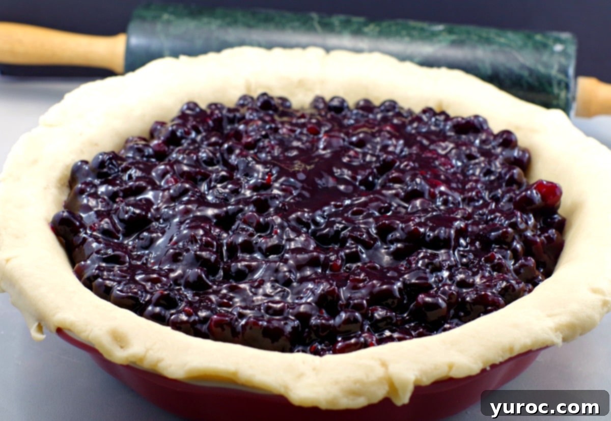 Saskatoon Berry Pie: Mastering the Filling and Sauce 9 Saskatoon berry pie filling poured into unbaked pie shell