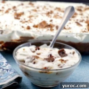Skor Toffee Crunch Bars 9 A bowl of creamy Skor Bar Dessert with a serving spoon, and a glass pan of the dessert in the background.