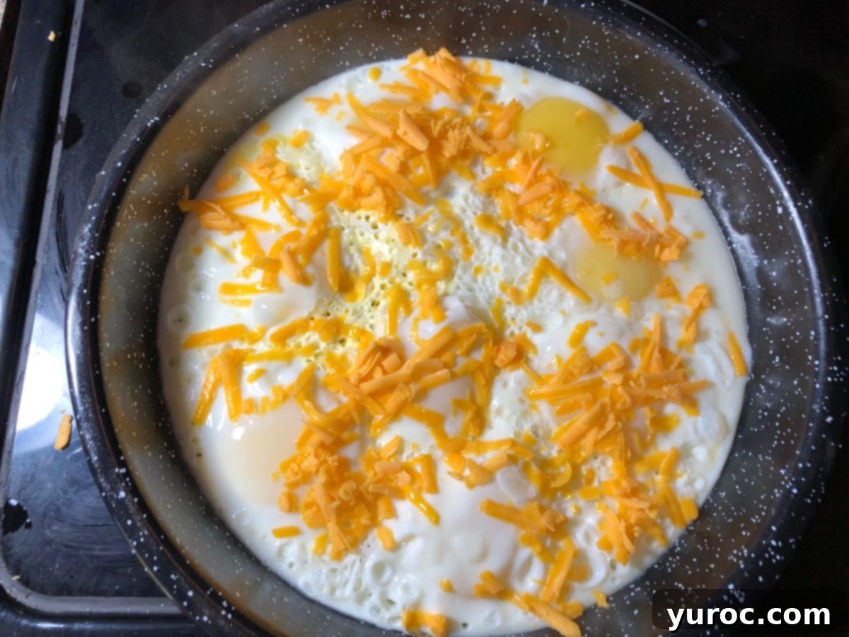 Cooked sunny side up eggs with shredded cheddar cheese sprinkled on top.