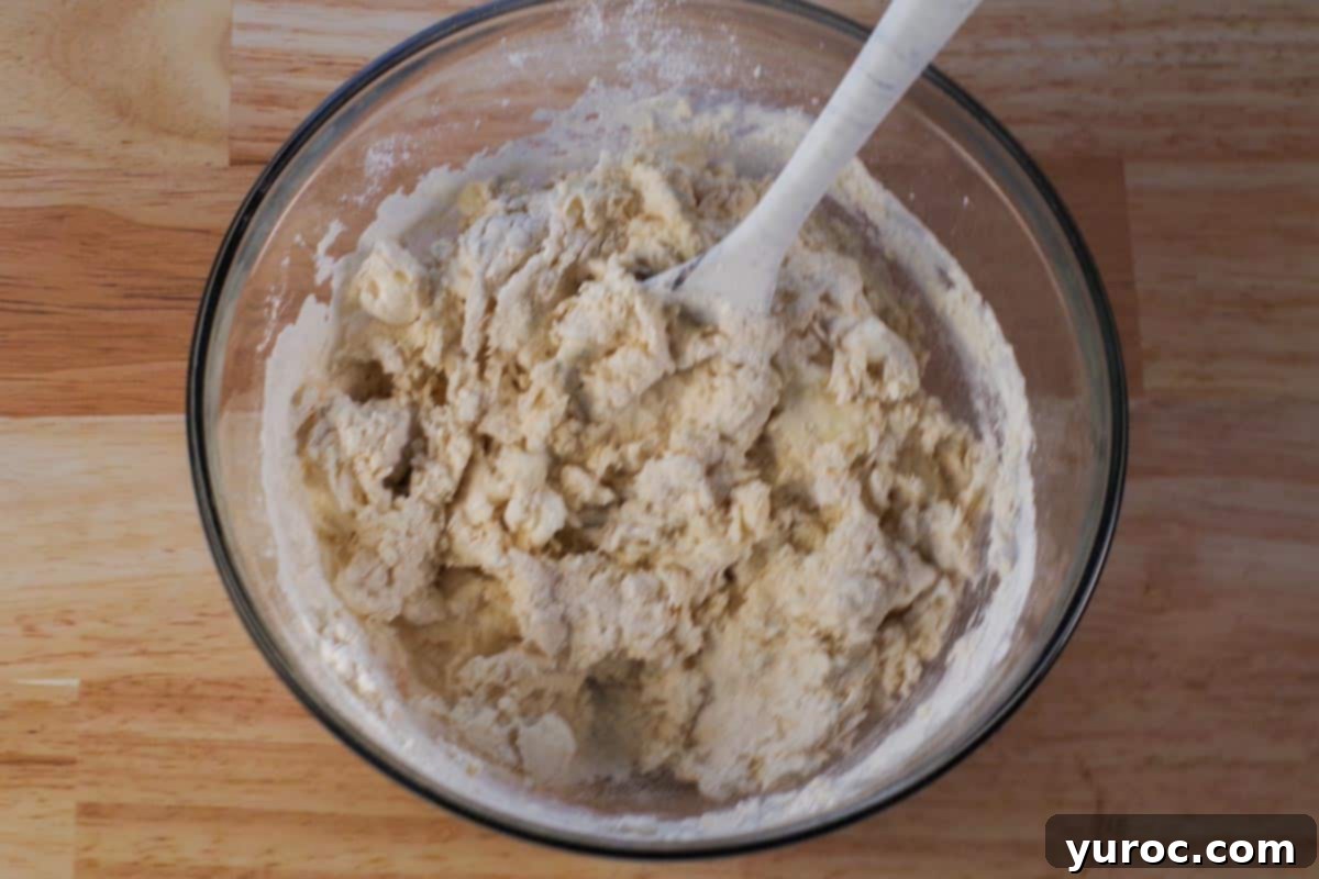 The wet egg and milk mixture combined with the dry ingredients in a large glass bowl and gently mixed with a silicone spoon, just until moistened.