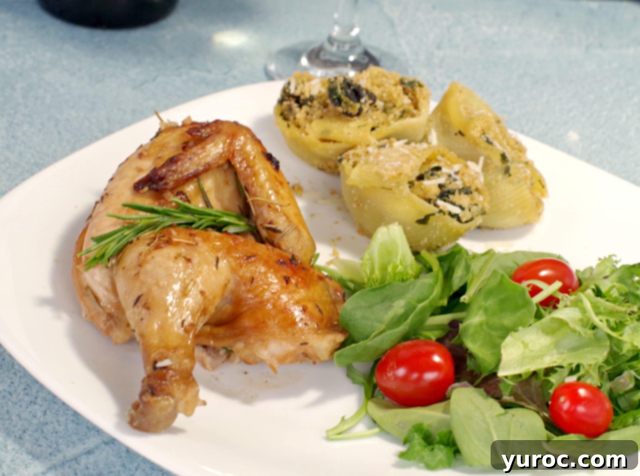 Cornish Hen on a plate with pasta and salad