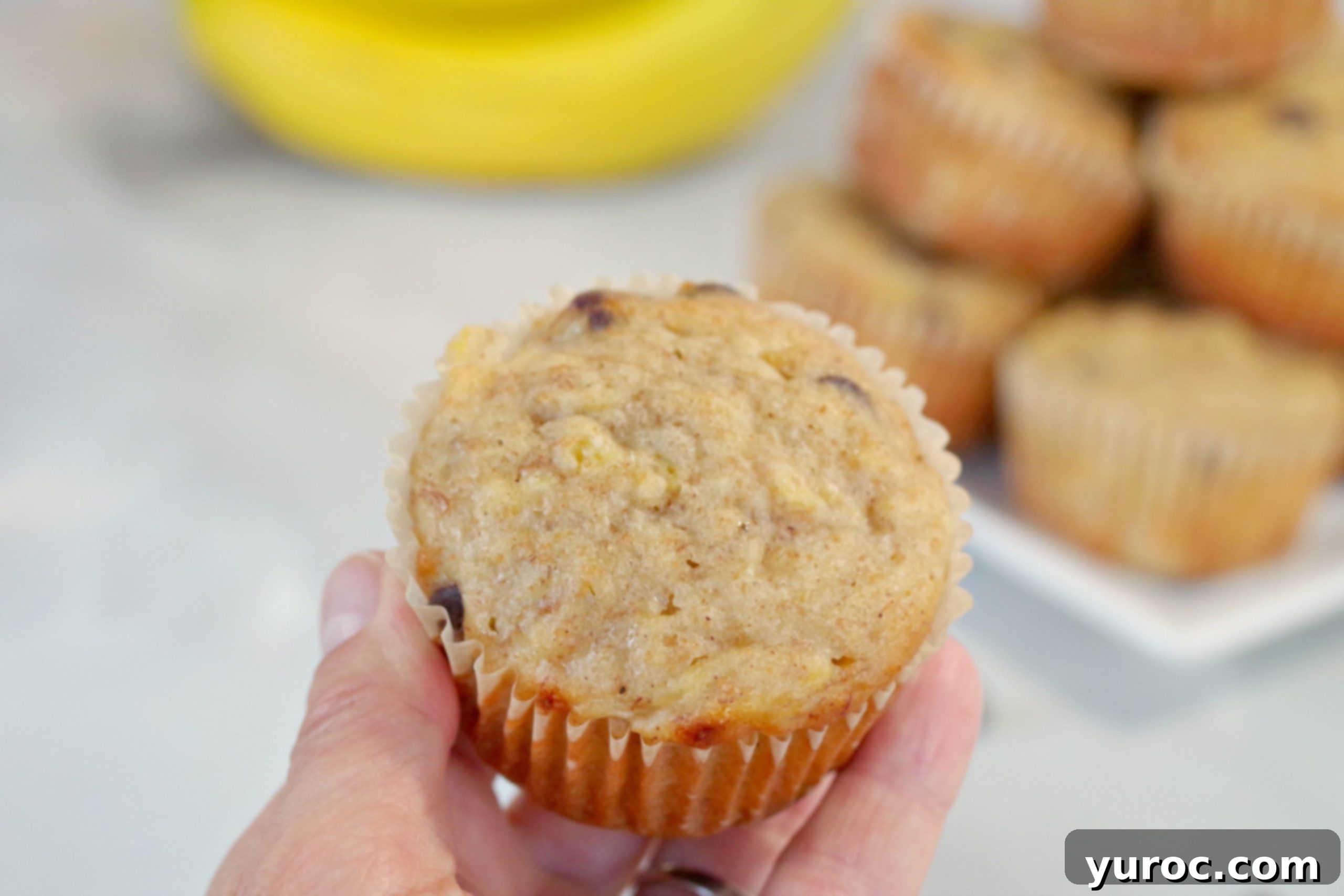 Wholesome Banana Pineapple Chocolate Chip Muffins 4 Muffin being held in hand with plate of muffins in background