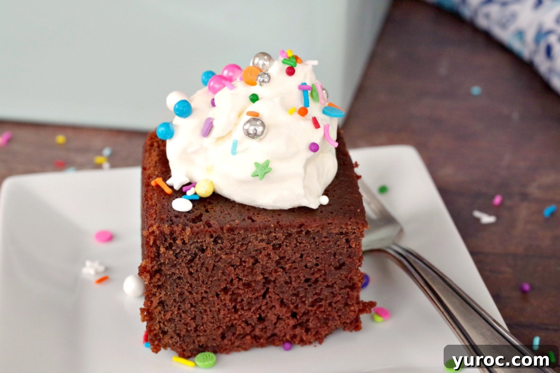 Heirloom Sour Cream Chocolate Cake 2 Piece of Sour Cream Chocolate Cake with whipped cream and sprinkles