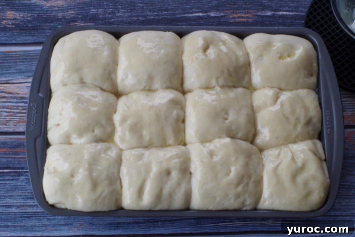 Buns beautifully risen and touching each other in a 9x13 lasagna pan, ready for the oven