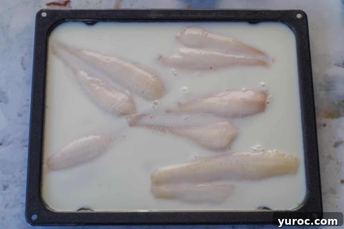 Fish fillets defrosting in milk within a grill pan.