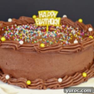 cake frosted with no butter chocolate frosting with sprinkles and Happy Birthday sign on top