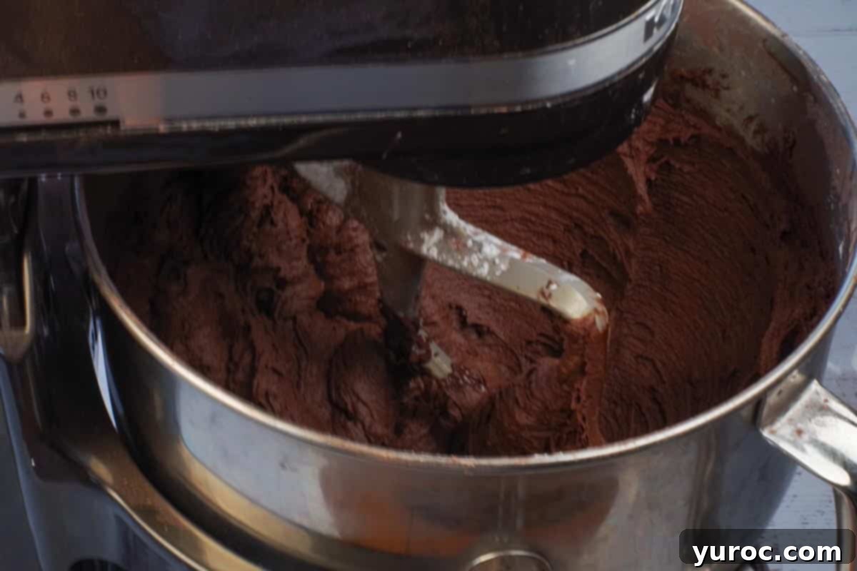 milk and vanilla added to the chocolate frosting mixture in a stand mixer