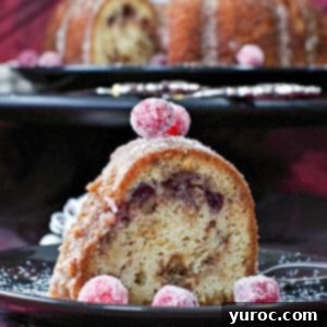 a slice of cranberry Christmas cake on a black plate with the remainder of whole cake in the background on a black cake serving platter