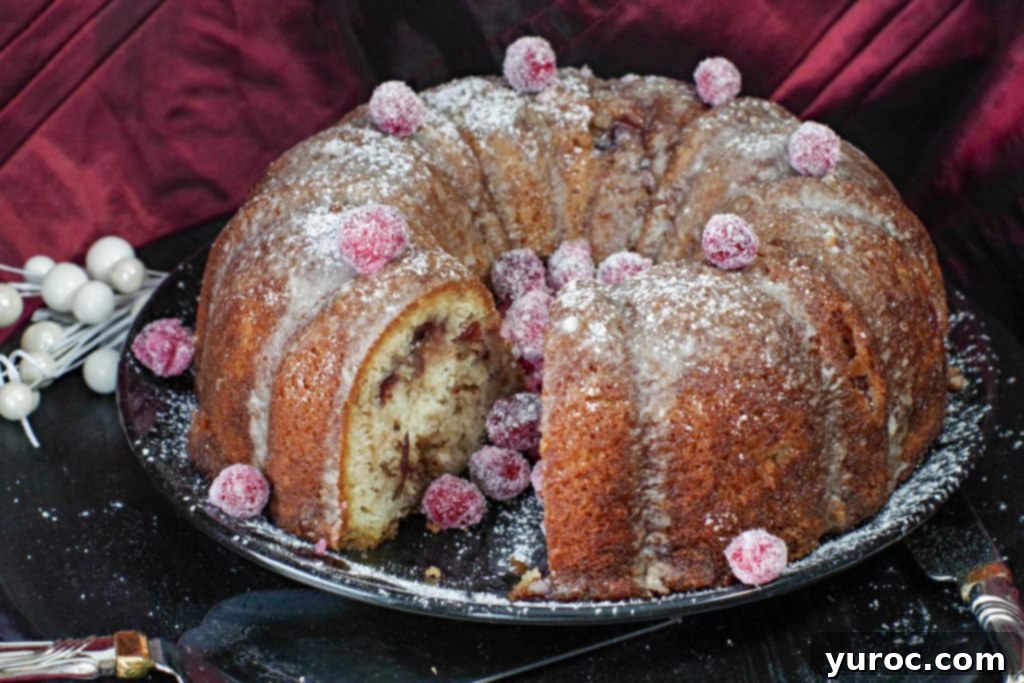 whole cranberry coffee cake with piece missing and candied cranberries in the space where the piece is missing