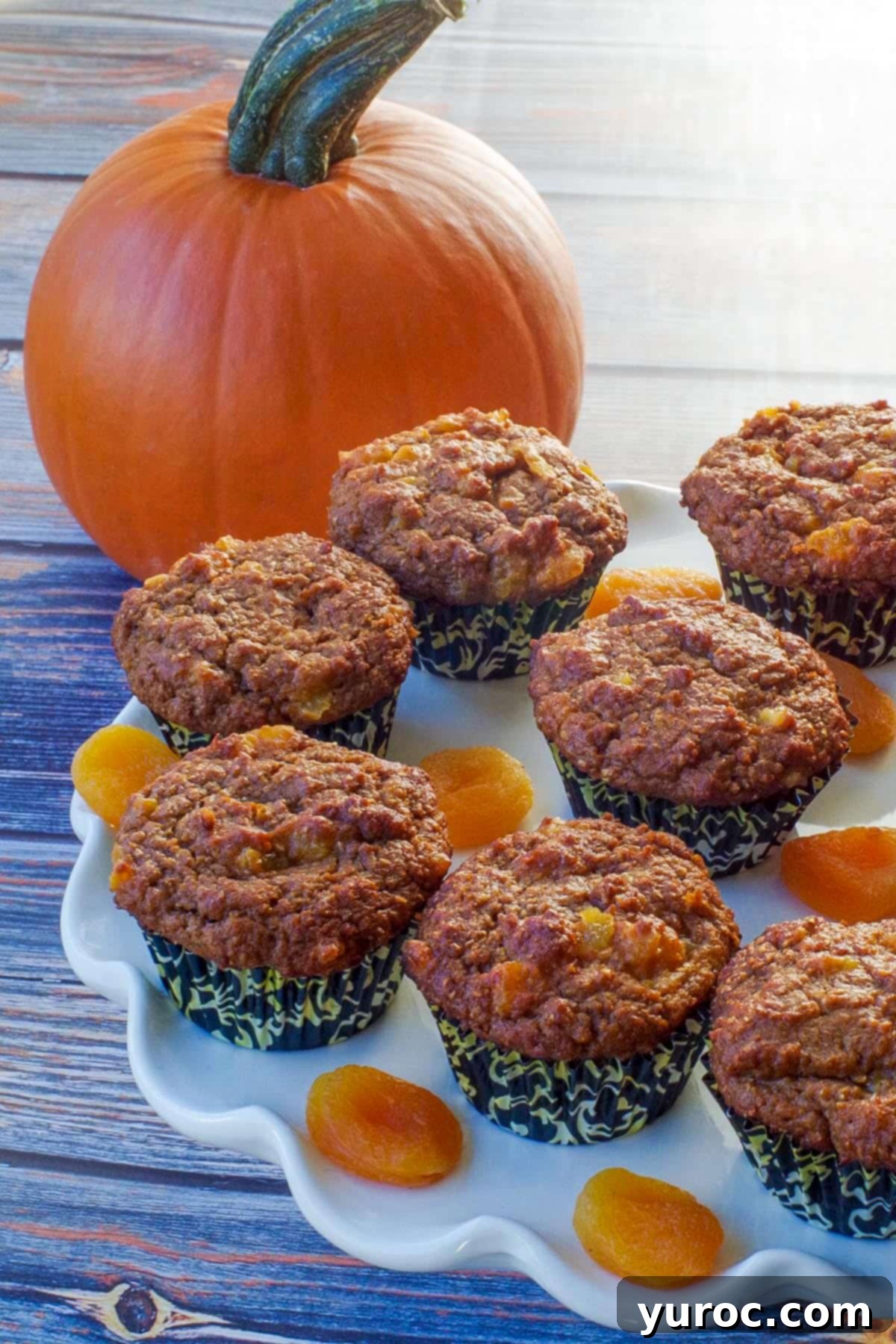 healthy bran pumpkin muffins on a white cake platter with dried apricots and a pumpkin in the background