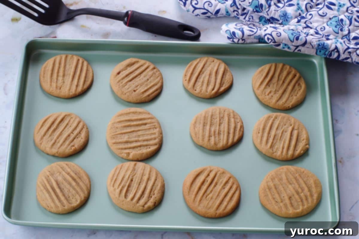 Chunky Peanut Butter and Cookie Butter Cookies 13 baked cookies cooling on cookie sheet