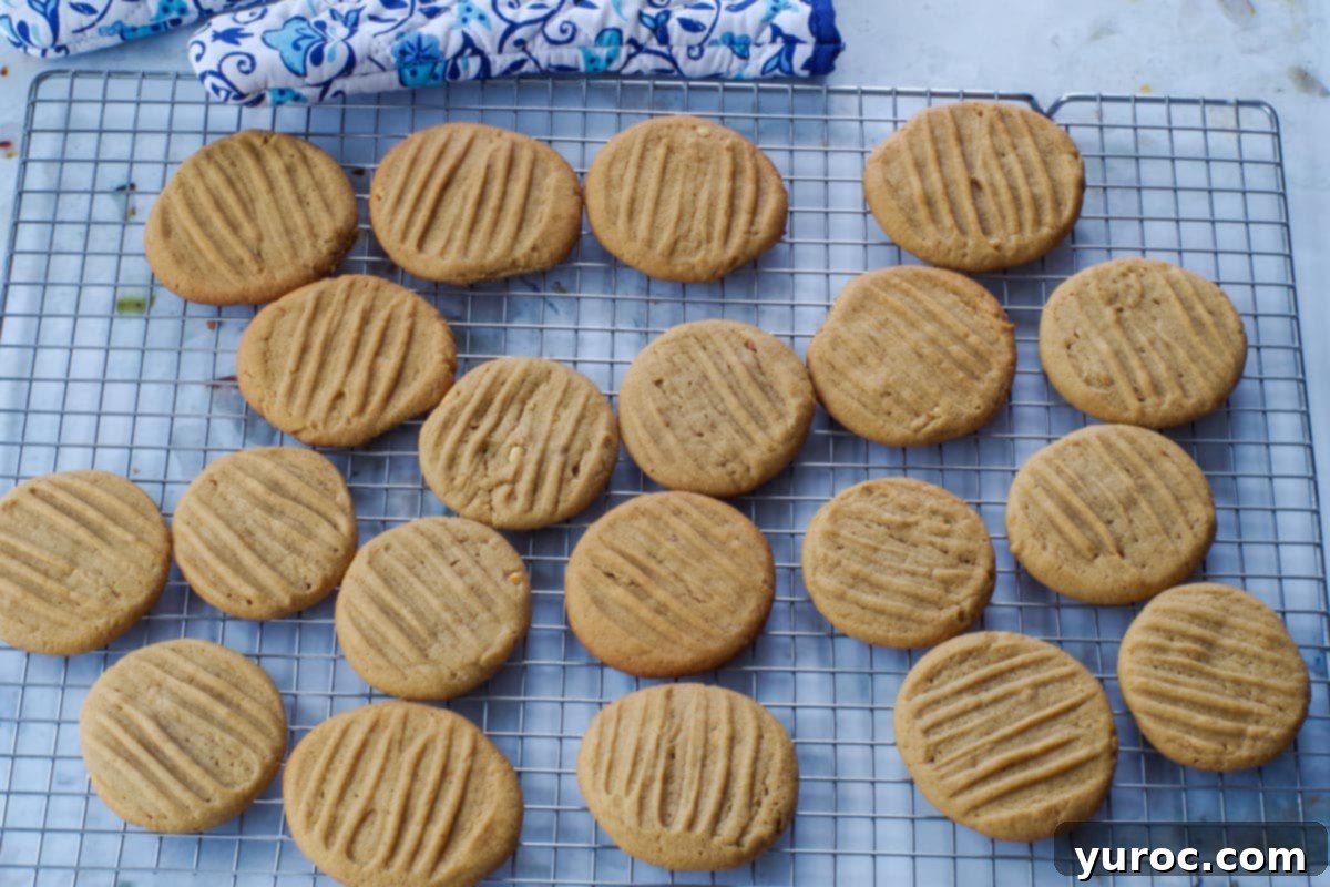 Chunky Peanut Butter and Cookie Butter Cookies 14 cookies cooling on wire rack