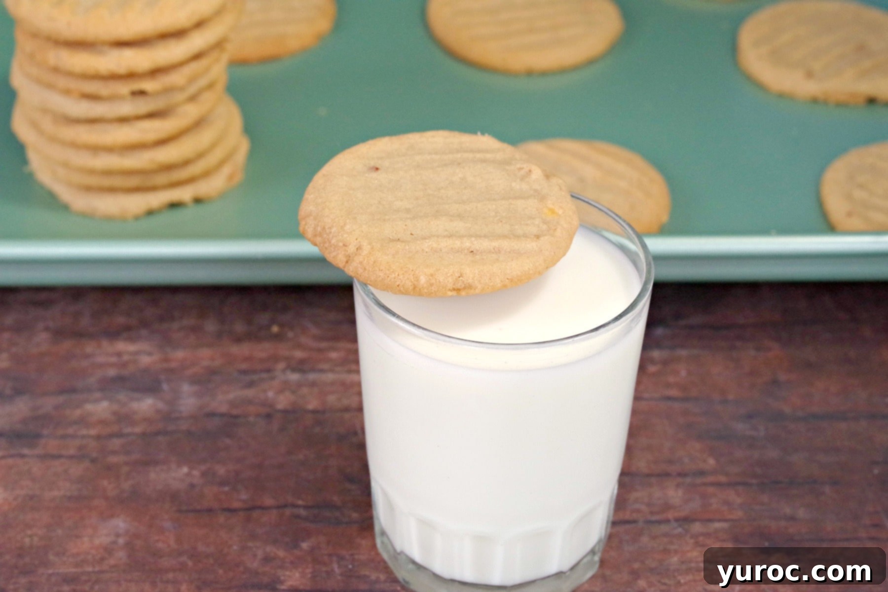 Chunky Peanut Butter and Cookie Butter Cookies 15 Cookie resting on top of glass of milk with pan of cookies in background
