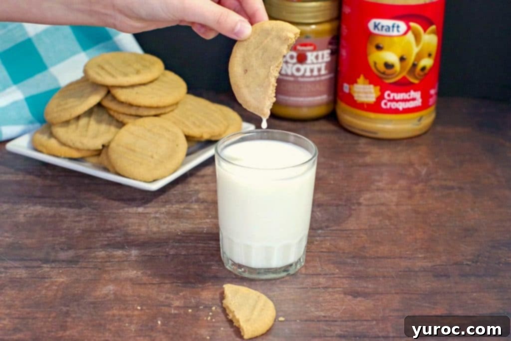 Chunky Peanut Butter and Cookie Butter Cookies 3 cookie butter cookie being dipped into a glass of milk