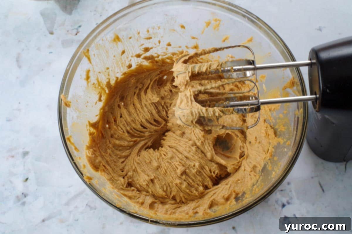 Chunky Peanut Butter and Cookie Butter Cookies 7 remaining ingredients (except flour) added to creamed butter and sugar in glass bowl, with beaters over bowl