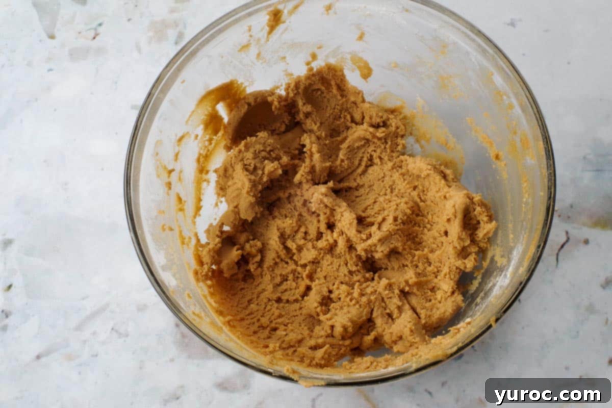 Chunky Peanut Butter and Cookie Butter Cookies 8 flour added to mixture in glass bowl