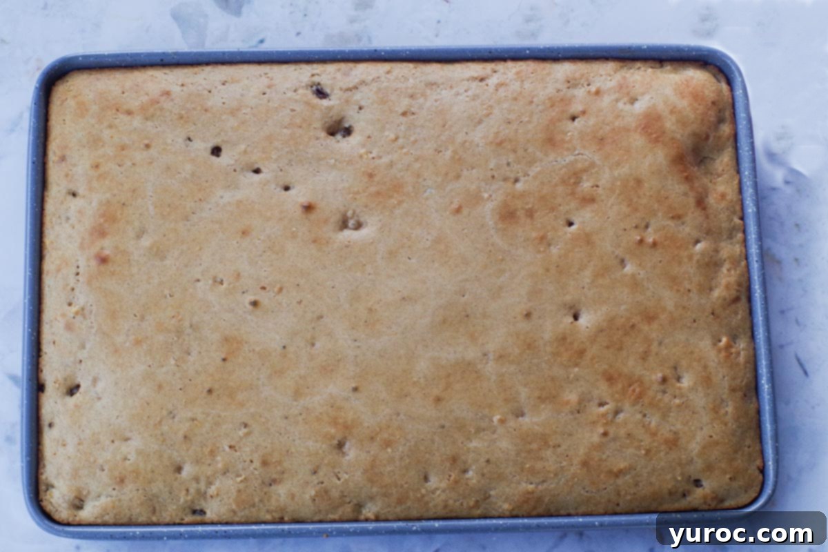 The golden-brown, perfectly baked Rum and Raisin sheet pan pancakes cooling on the baking sheet, just out of the oven.