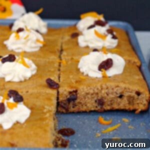 Delicious sheet pan raisin and rum pancakes cooling on a blue baking sheet.